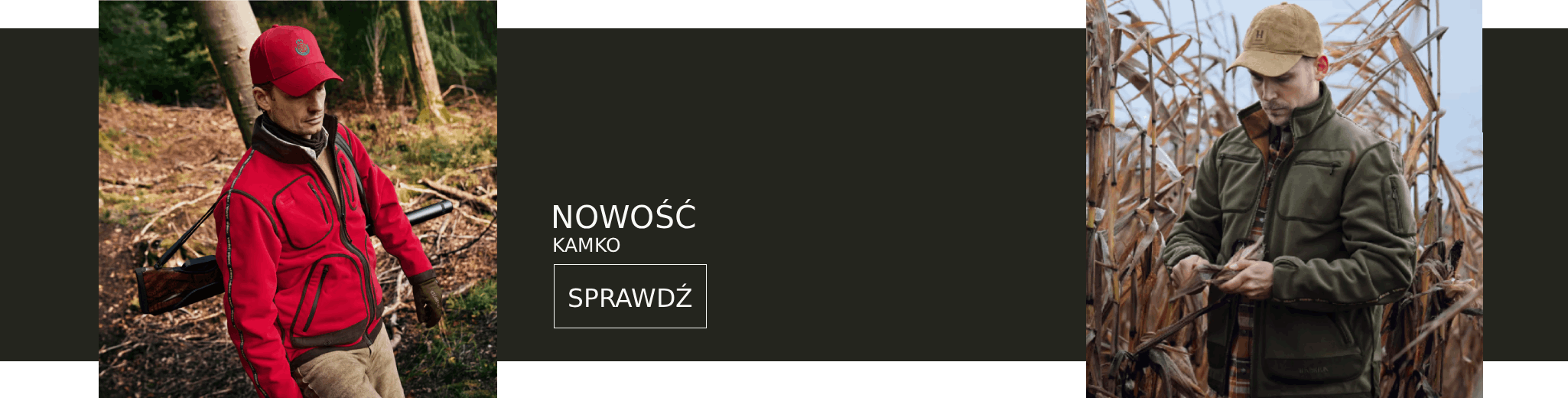 Strona główna