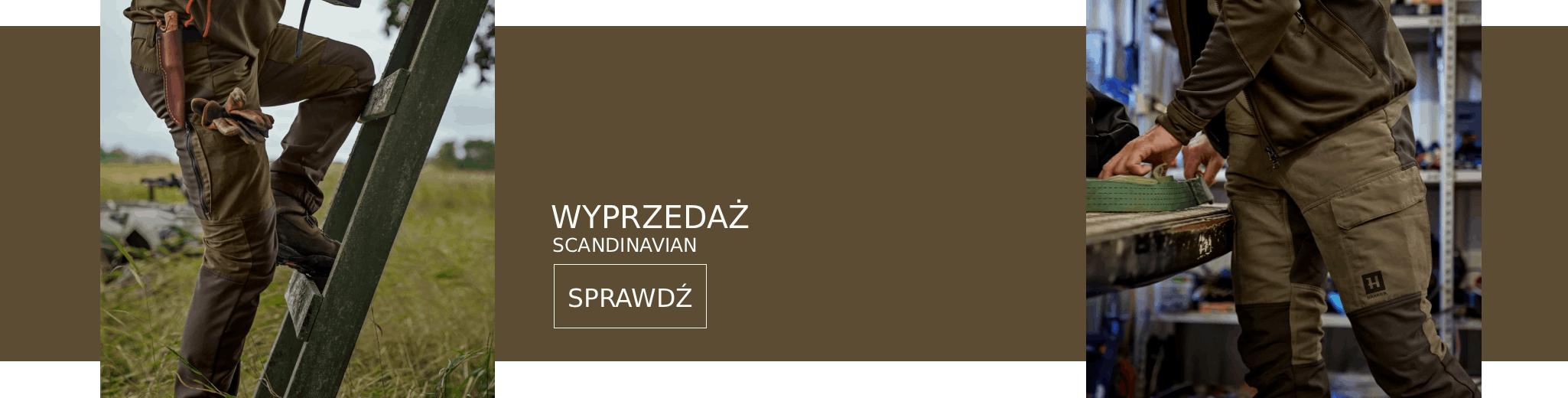 Strona główna